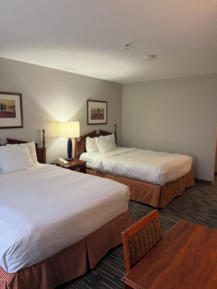 Room, 2 Queen Beds