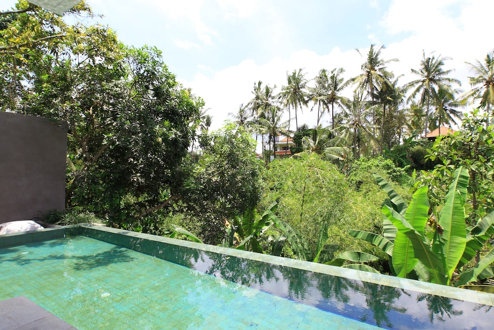Aria Villas Ubud 59/66