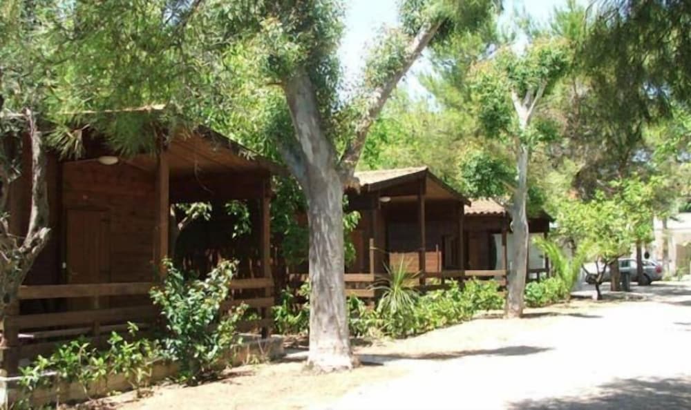 VILLAGGIO VIOLA 2/50