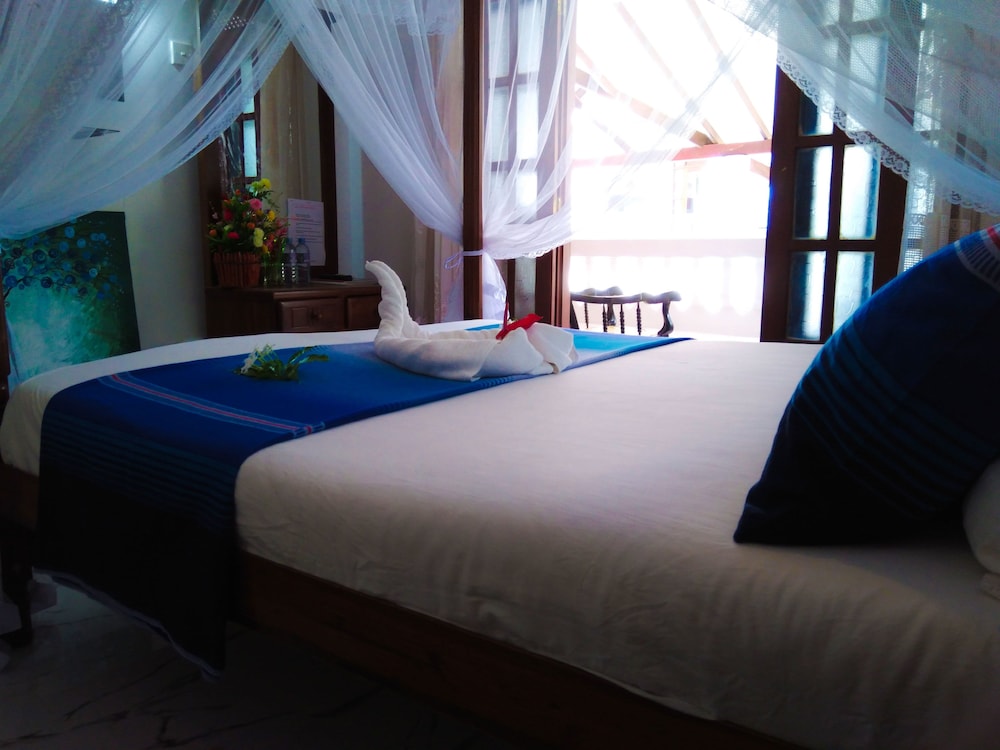 Galle Cemellia 15/44