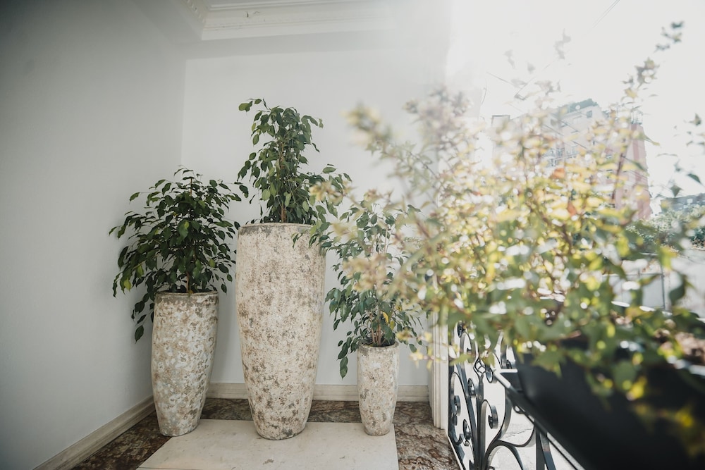 Lot Boutique Hotel 31/37
