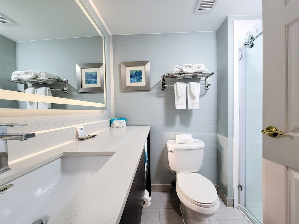 Suite, King Bed, Living and Dining Areas، Holliday Inn Belcamp Aberdeen Area Ex Wingate By Wyndham Aberdeen Edgewood 9/10