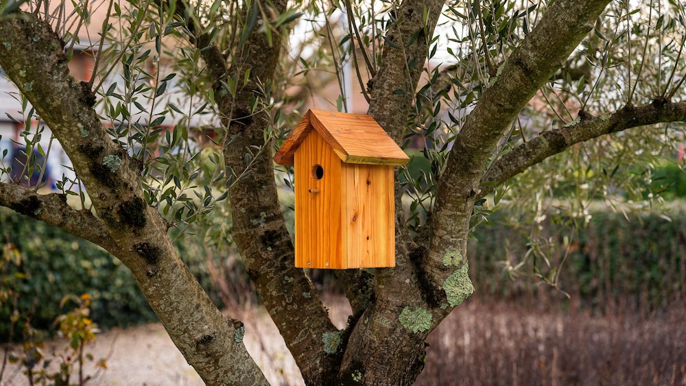 Campanile NATURE - Bordeaux Lac 30/71
