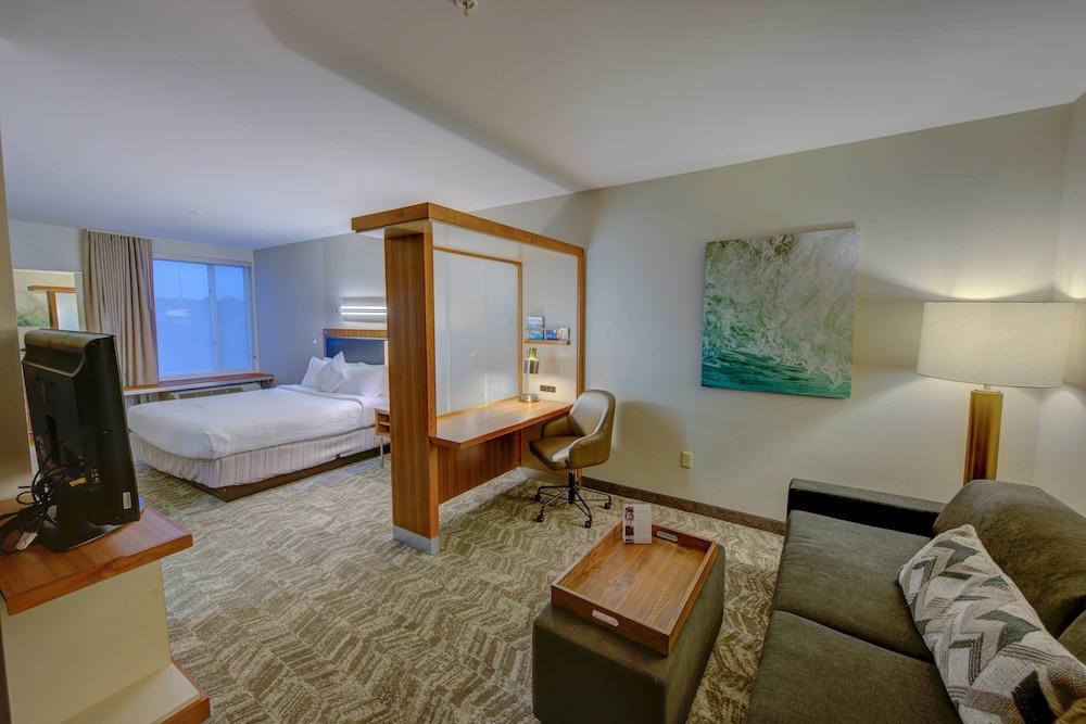 Springhill Suites Macon 16/28