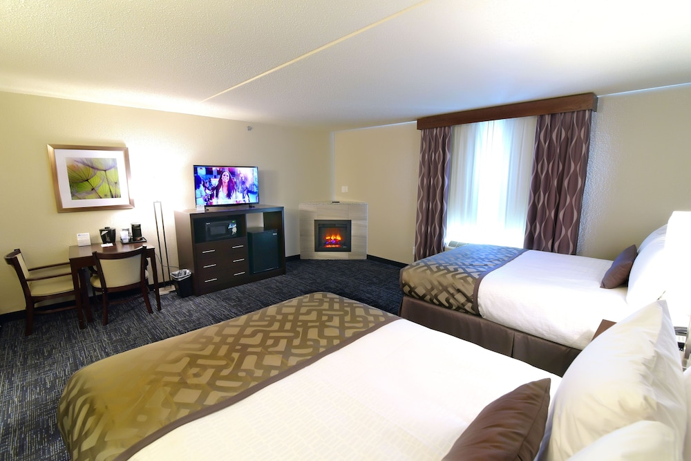 Best Western Plus Flint Airport Inn & Suites 10/38
