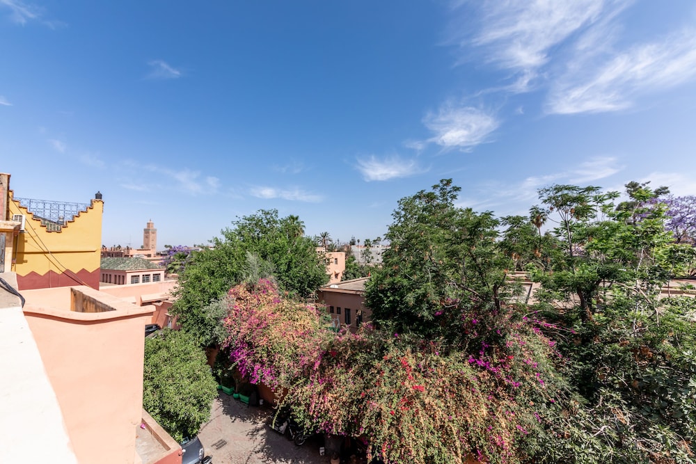 Riad Tahili 41/50
