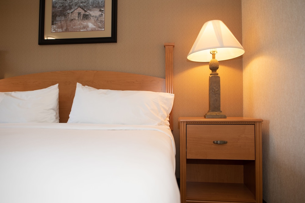 Holiday Inn Express and Suites Custer 23/59
