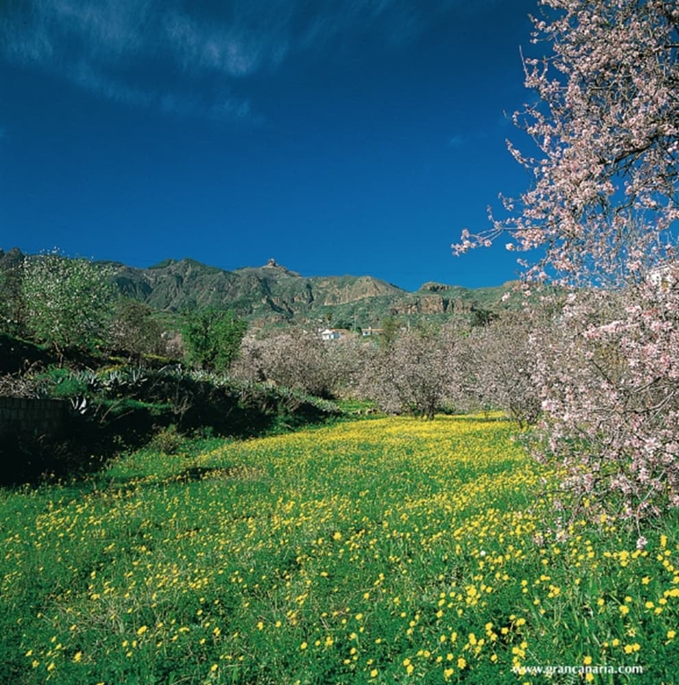Cortijo San Ignacio Golf 26/34