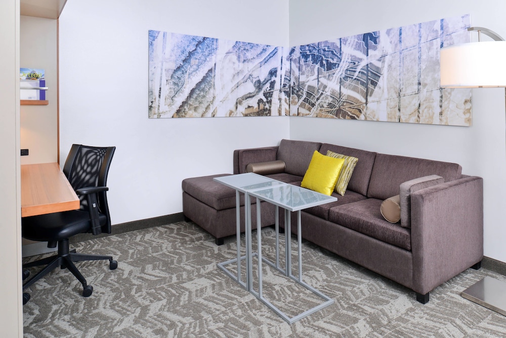SpringHill Suites by Marriott Detroit Metro Airport Romulus 31/47