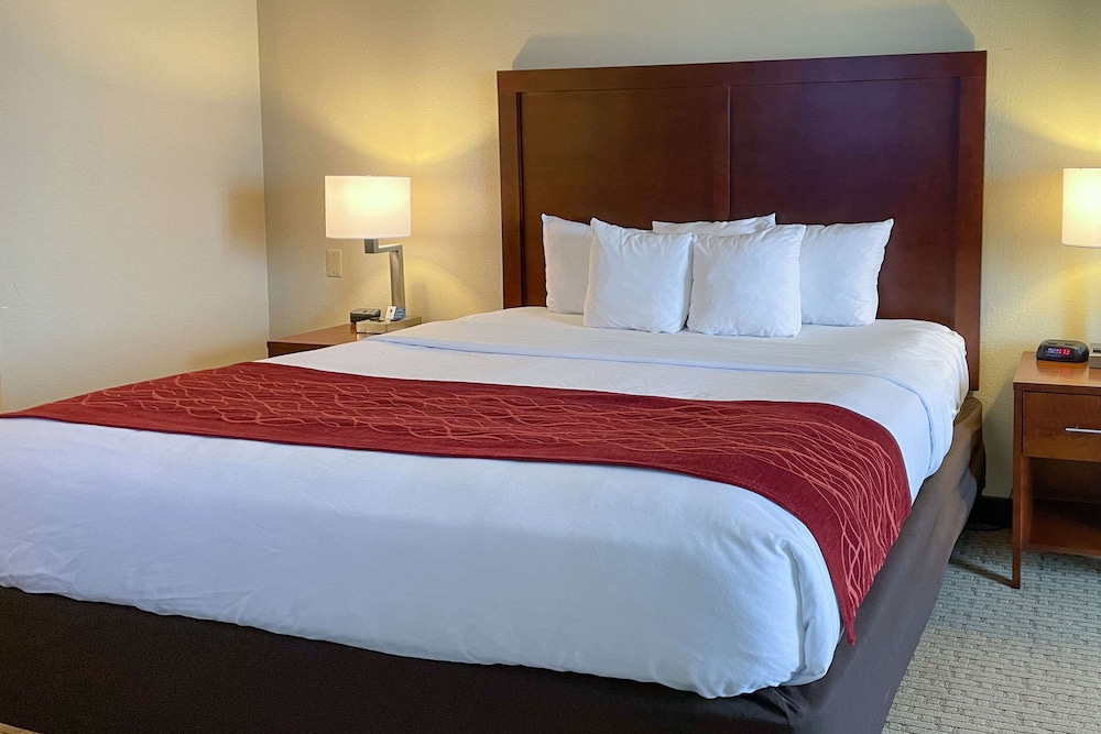 Comfort Inn & Suites Rogersville 13/37