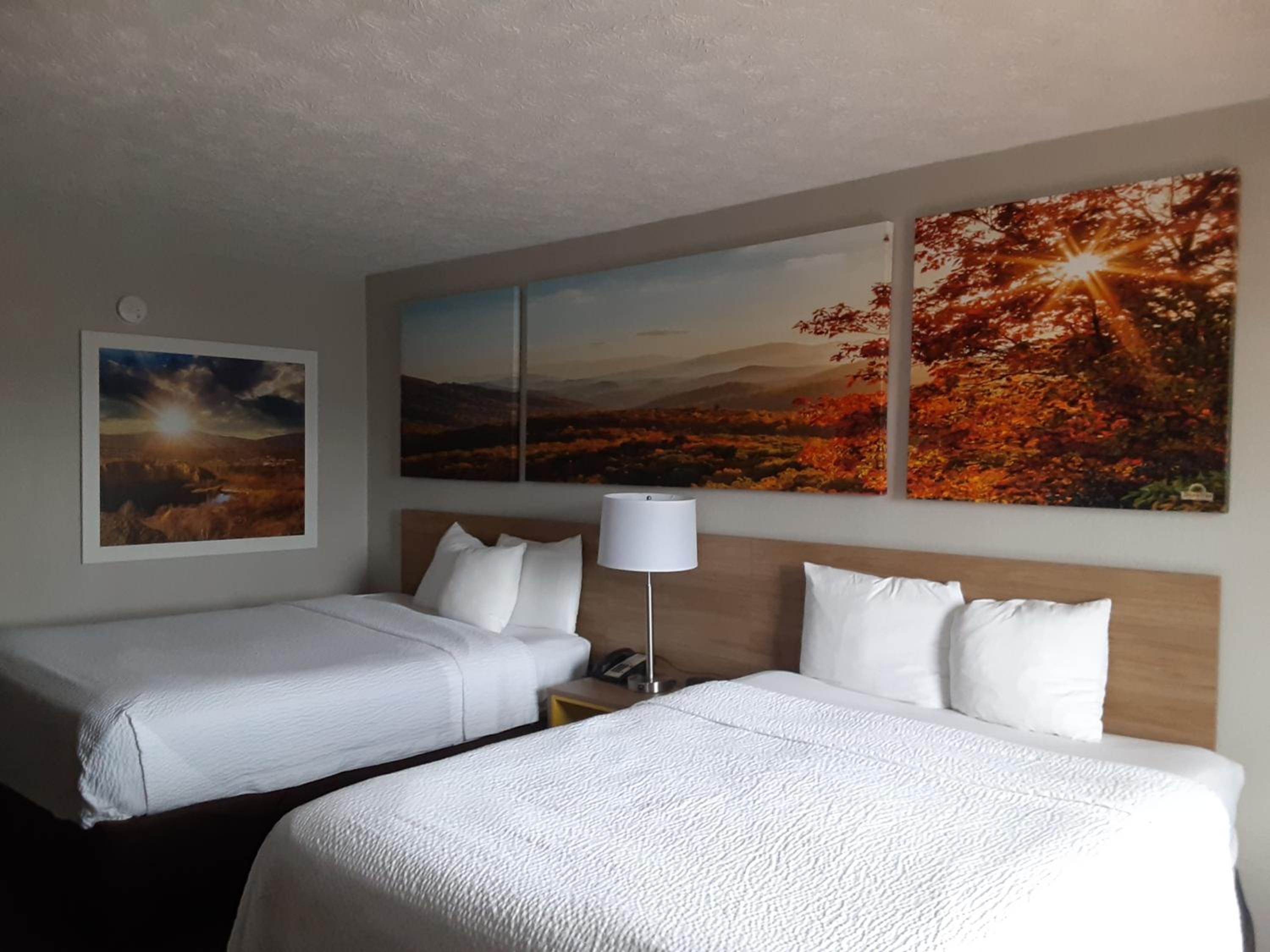 Room, 2 Queen Beds