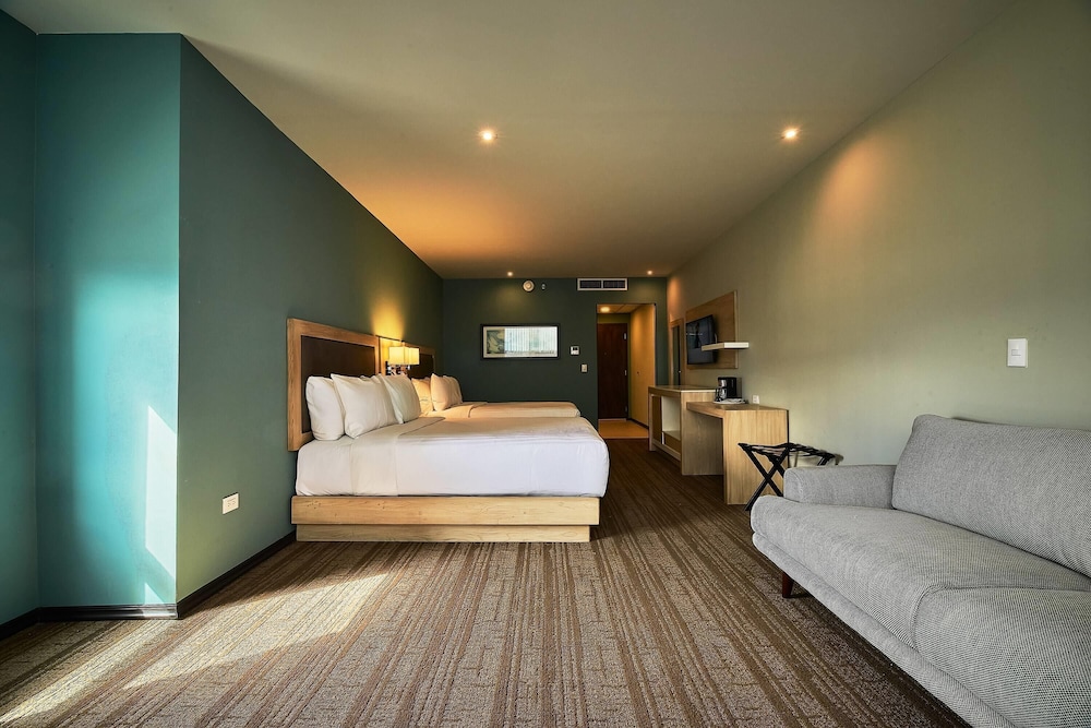 Wyndham Garden Saltillo 17/42