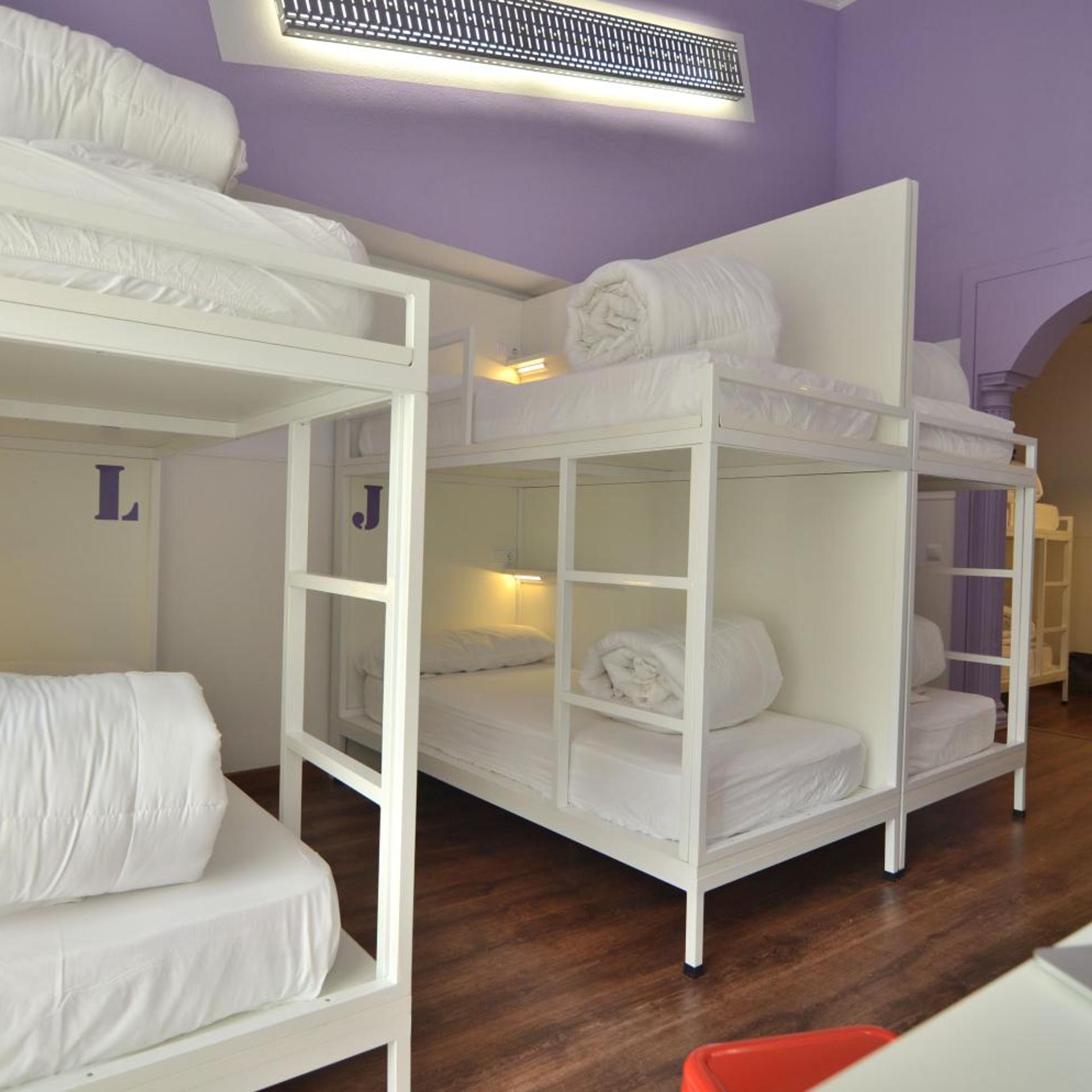 Mixed Dorm, 12 Beds