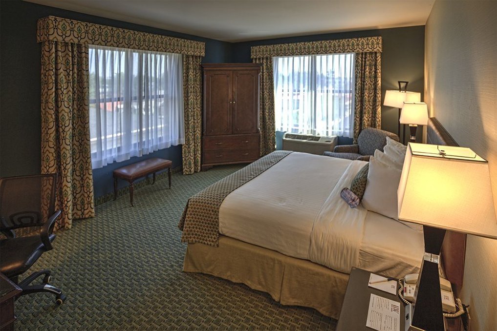 Hotel Warner 29/66
