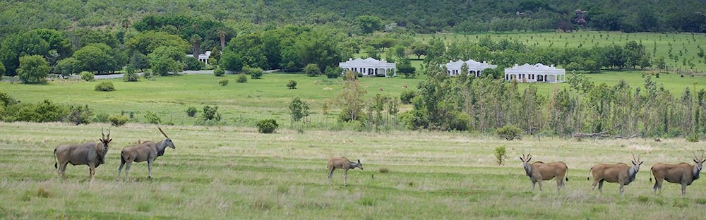 Leeuwenhof Country Lodge & Garden Spa 11/15