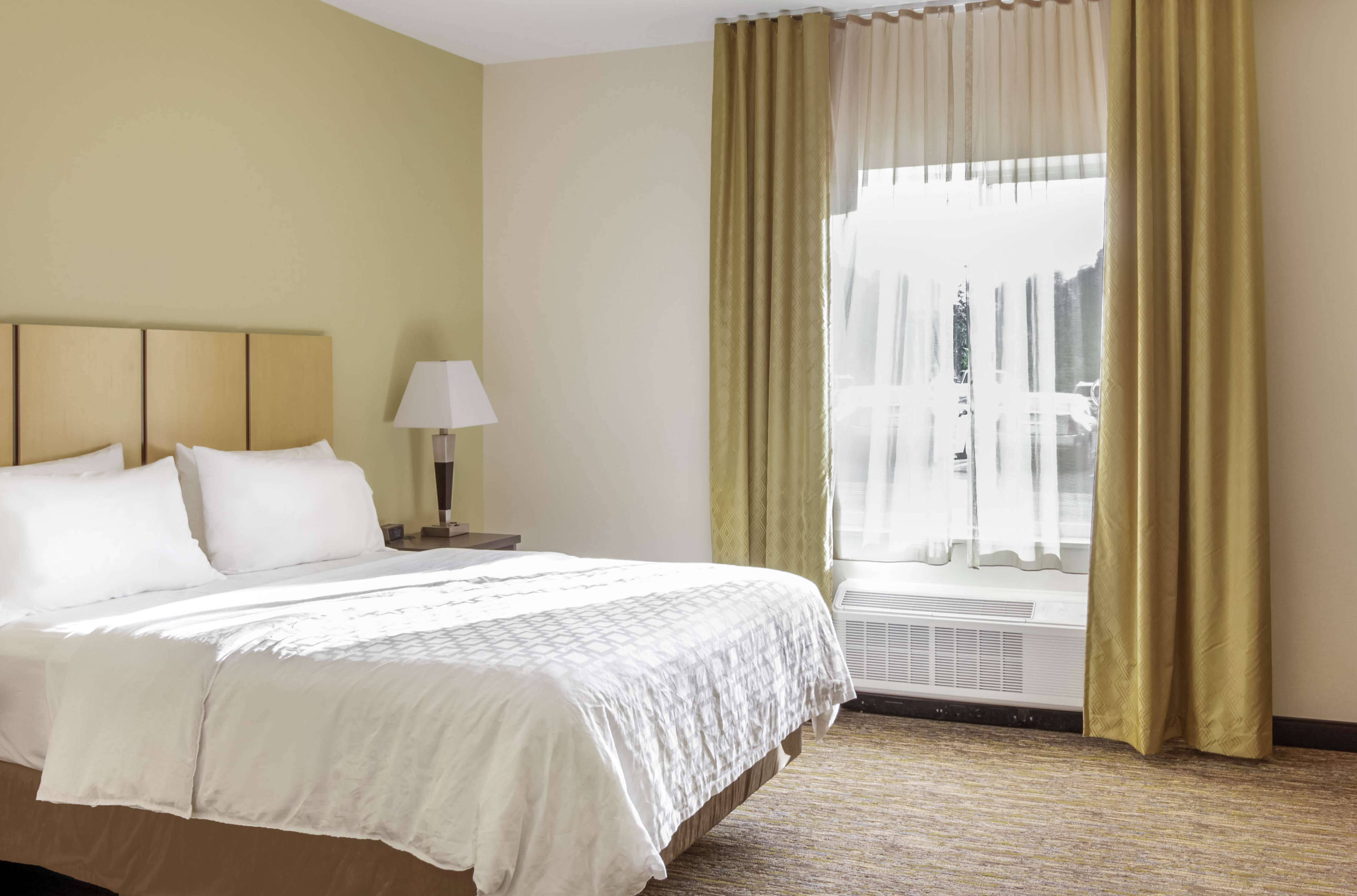1 Bedroom, Suite, Queen Bed