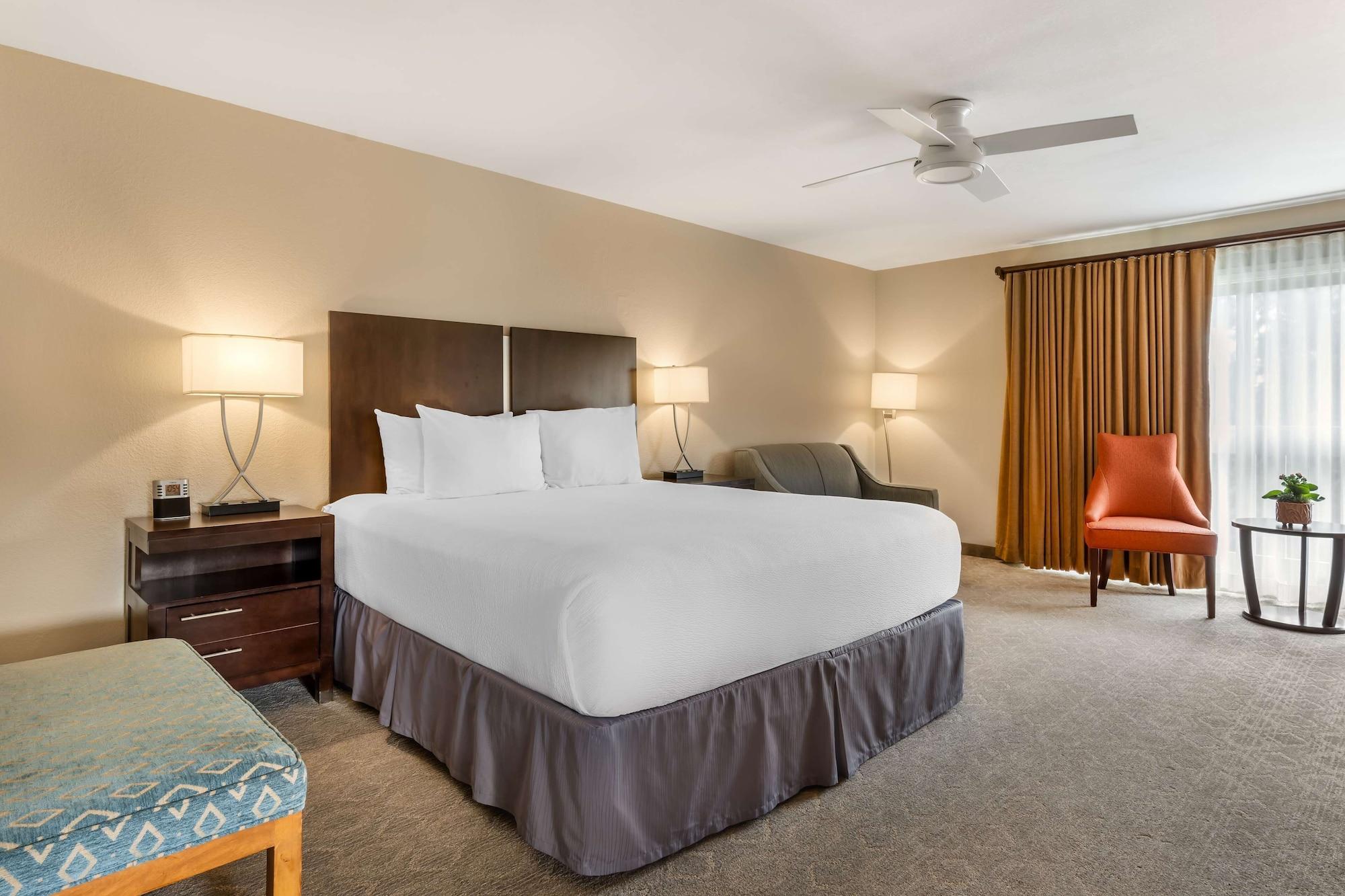 Suite, Multiple Beds