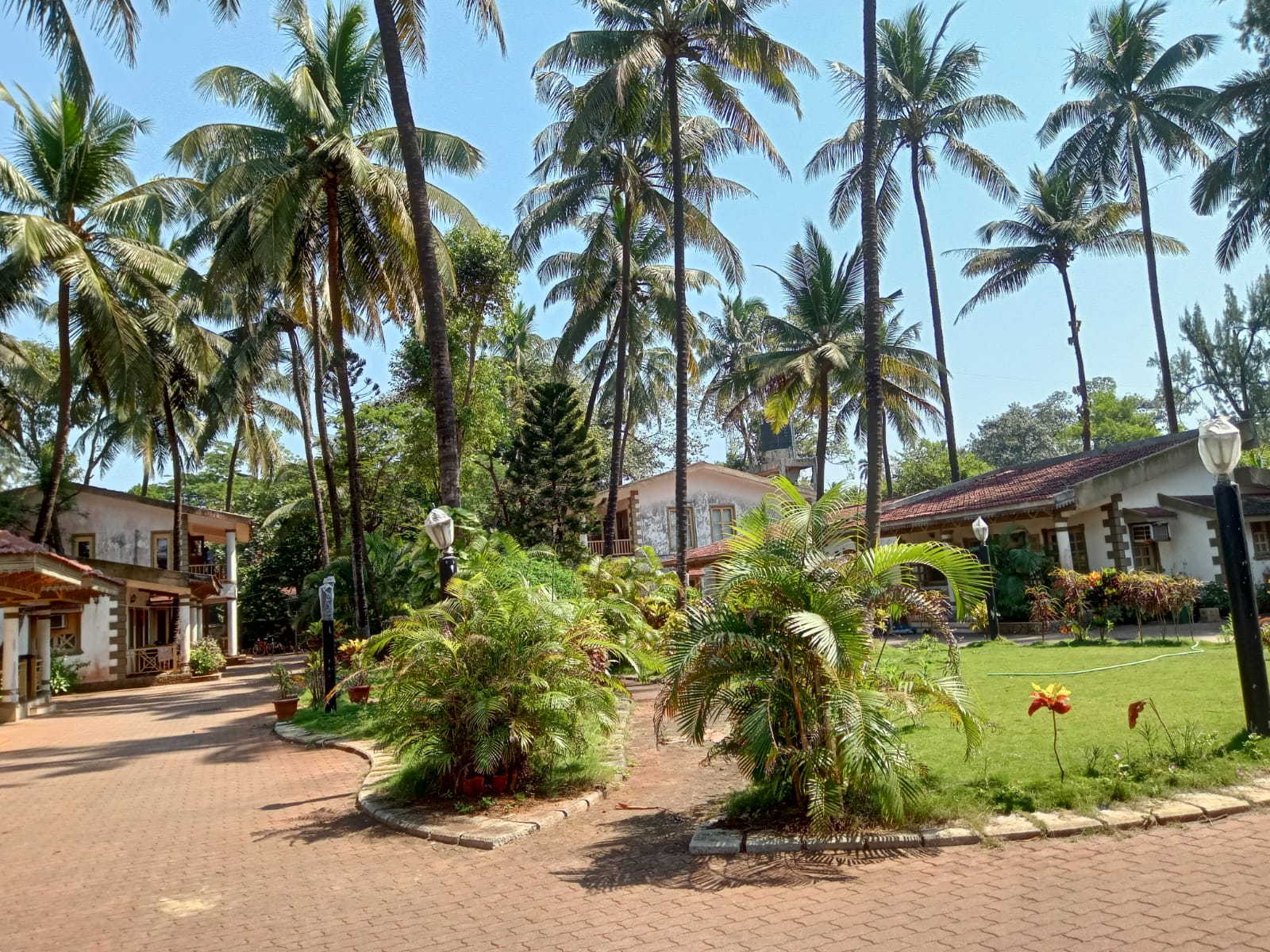 Golden Swan Beach Resort 16/17