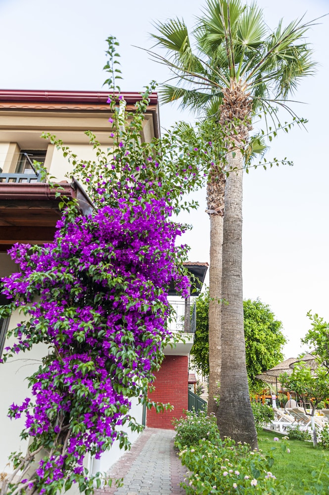 Portakal Hotel Dalyan 43/50