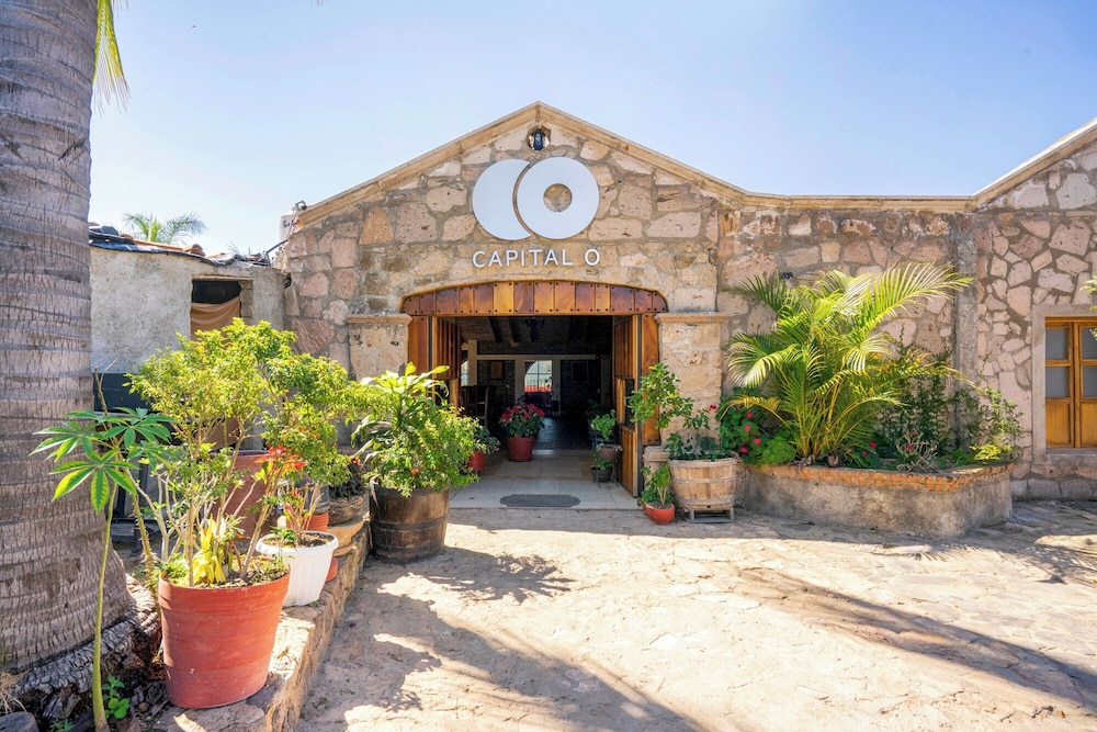 Collection O Posada Terraza in TEQUILA