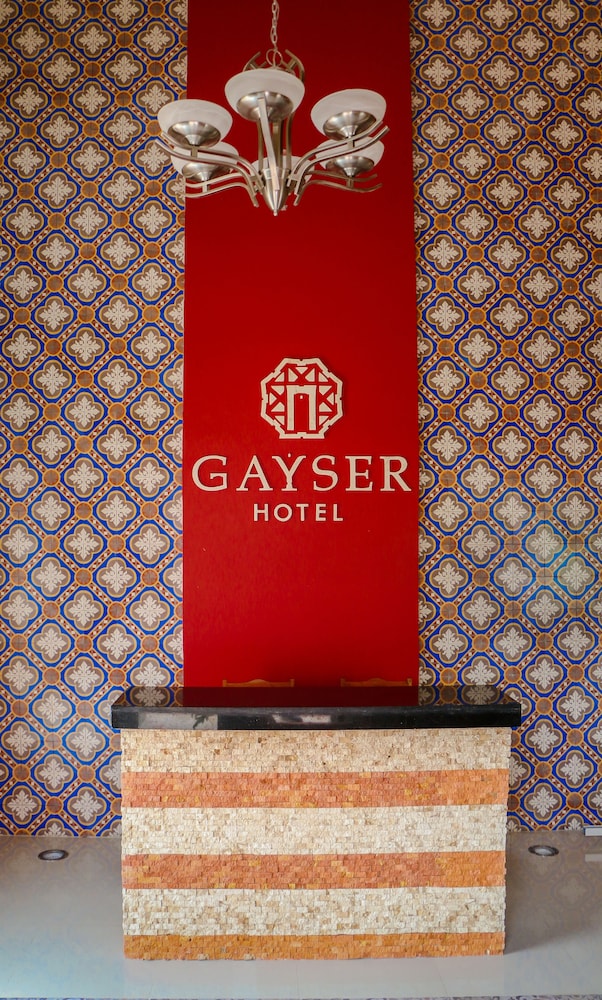Hotel Boutique Gayser 19/53