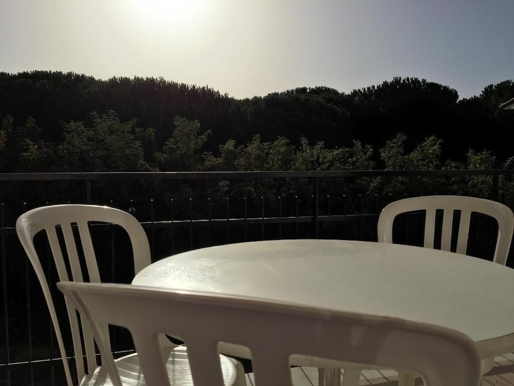 Hotel Le Palme 33/49