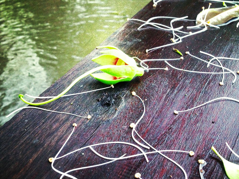 Baan Siriporn Resort 38/68