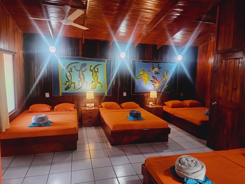 Hotel Aurora 33/50