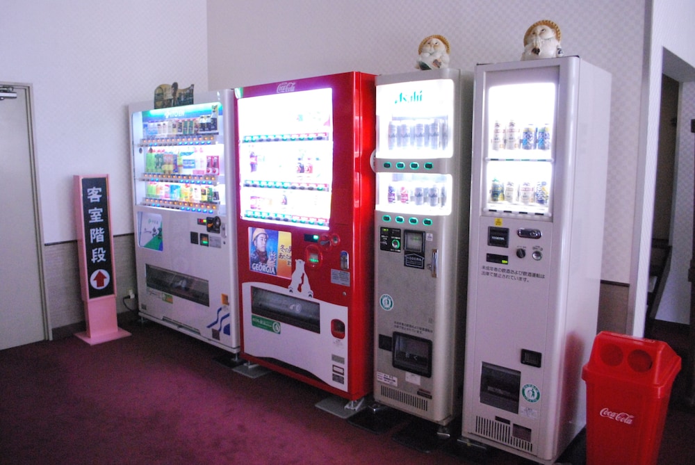 Shin Iya Onsen Hotel Kazurabashi 45/55