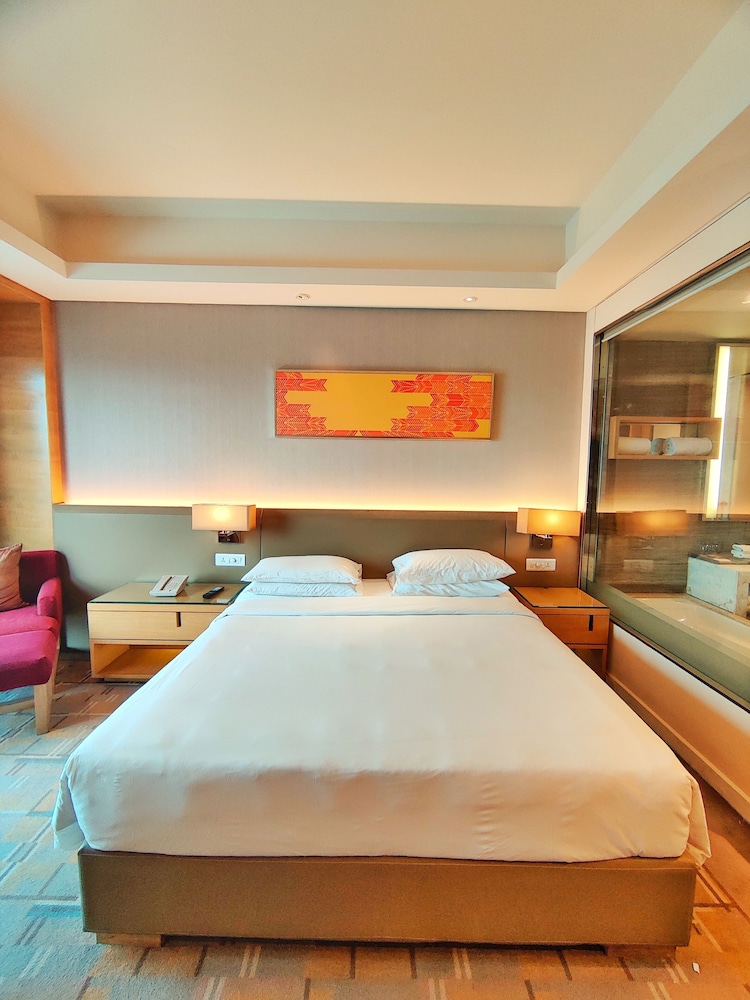 HYATT REGENCY CHANDIGARH 11/50