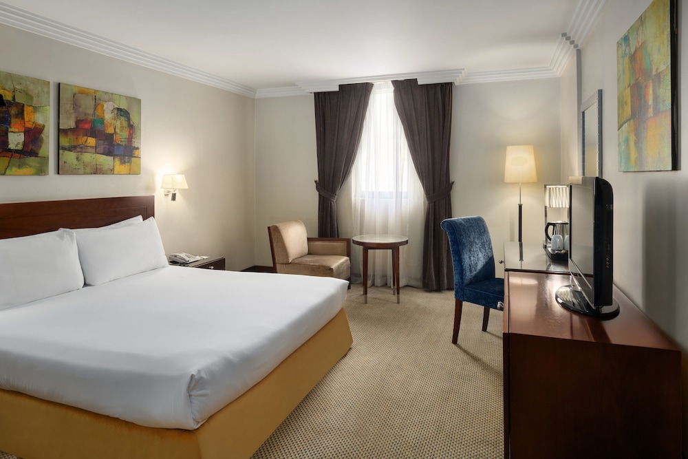 فندق مينا اندلسية(Mena Andalusia Hotel) 19/46