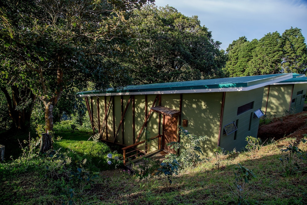Chayote Lodge 6/50