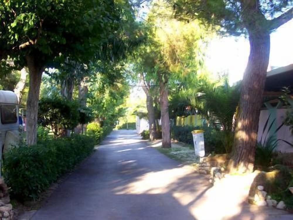 Villaggio Verde Cupra 37/44