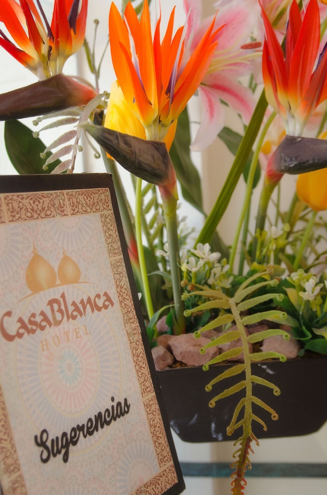 Hotel Casa Blanca 35/50