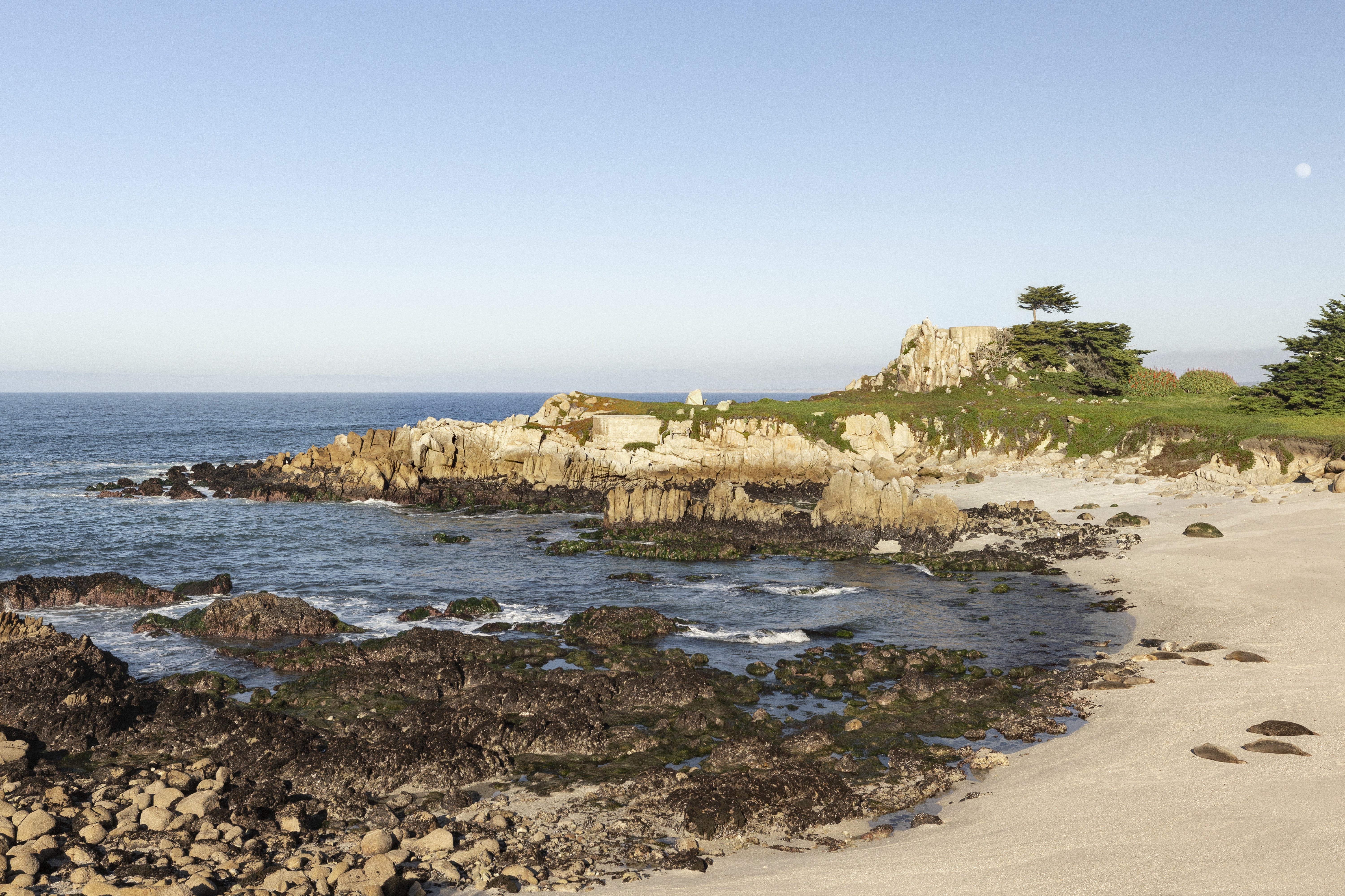 InterContinental The Clement Monterey 70/73