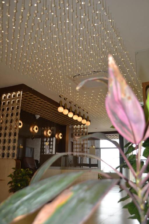 Hotel Sweet Time Restaurant Banquet and Rooms 25/27