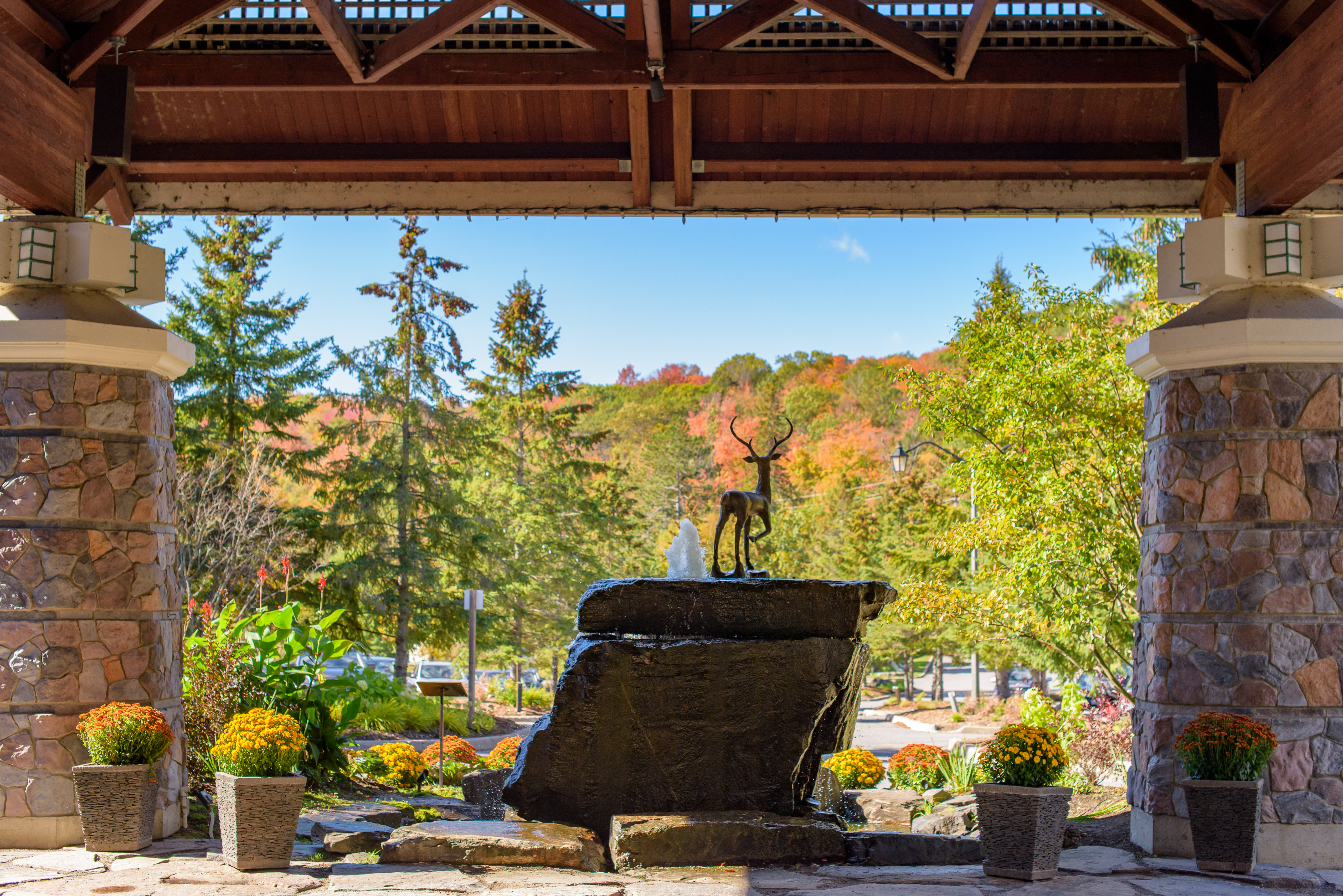 Deerhurst Resort 7/50