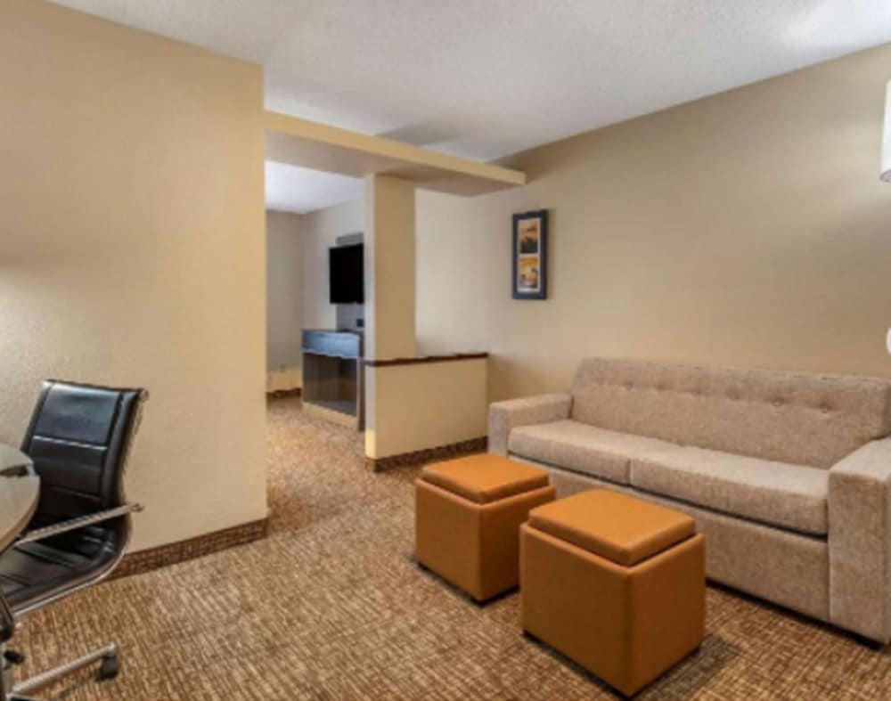 Comfort Inn and Suites North Dallas-Addison 23/33