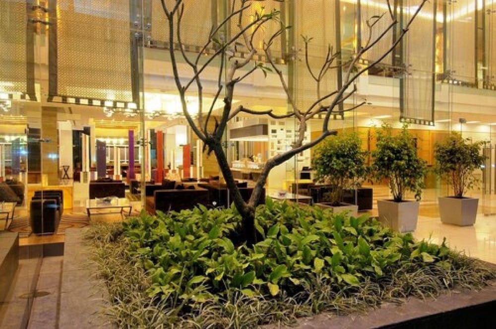 Radisson Blu Hotel Pune Kharadi 73/77