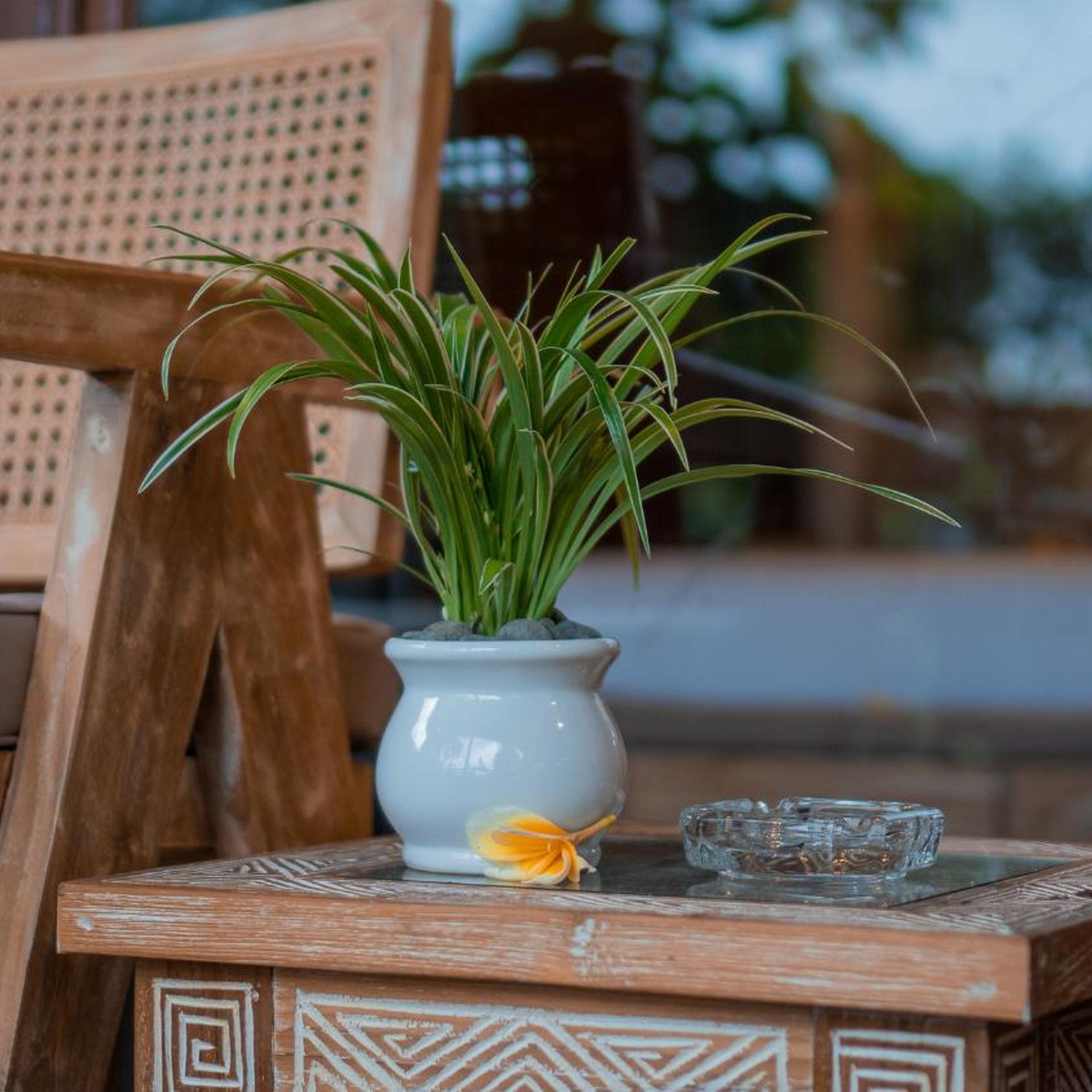 Homayoon Private Villa Ubud 8/50