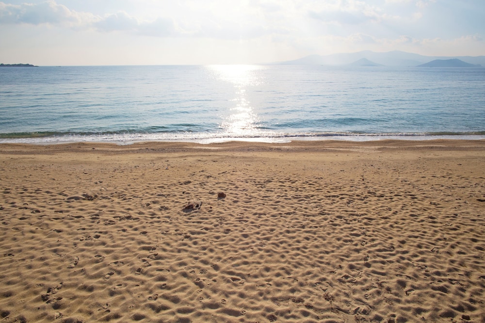 Marine Dream 144/152