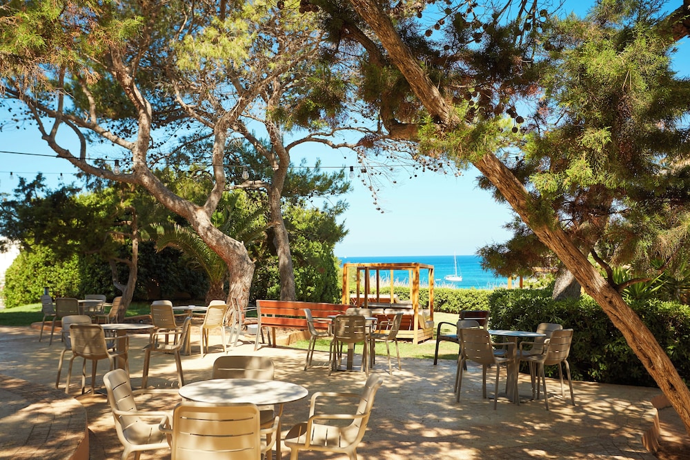 Insotel Club Tarida Playa 37/50