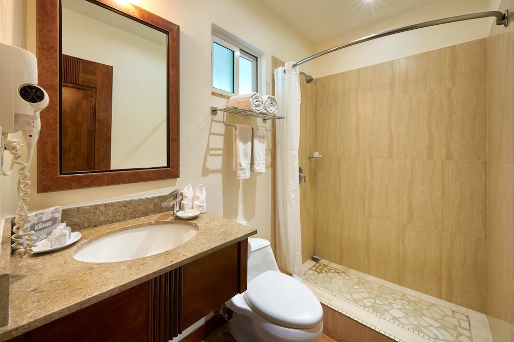 Tropicana, King Bed, Pool View، Tamarindo Diria Beach Resort 8/8