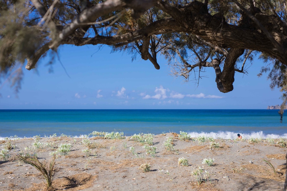 Alianthos Estate Resort 75/79