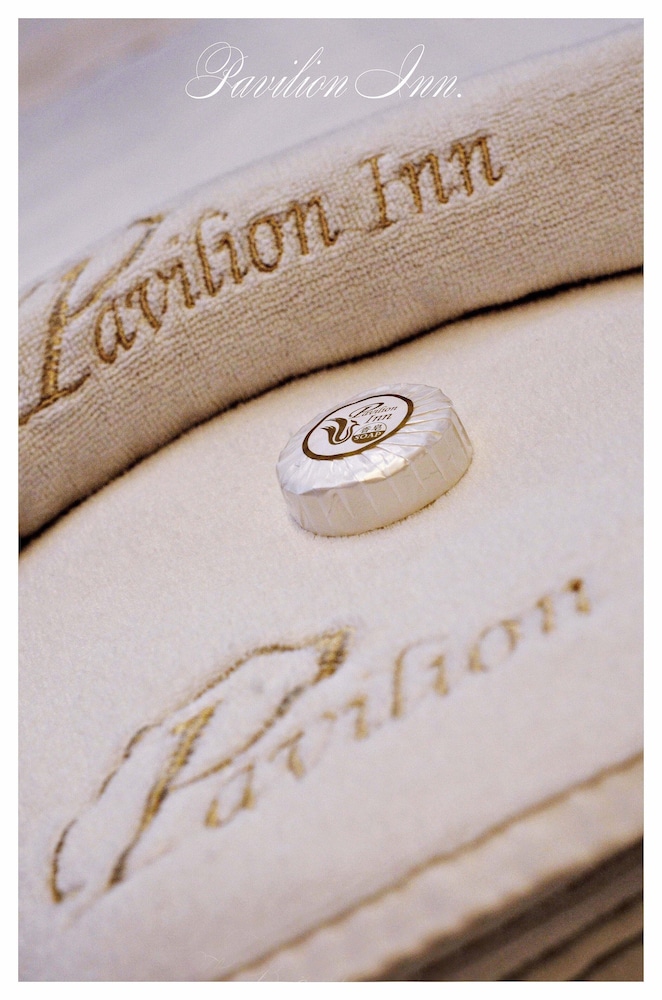 Pavilion Inn 19/28