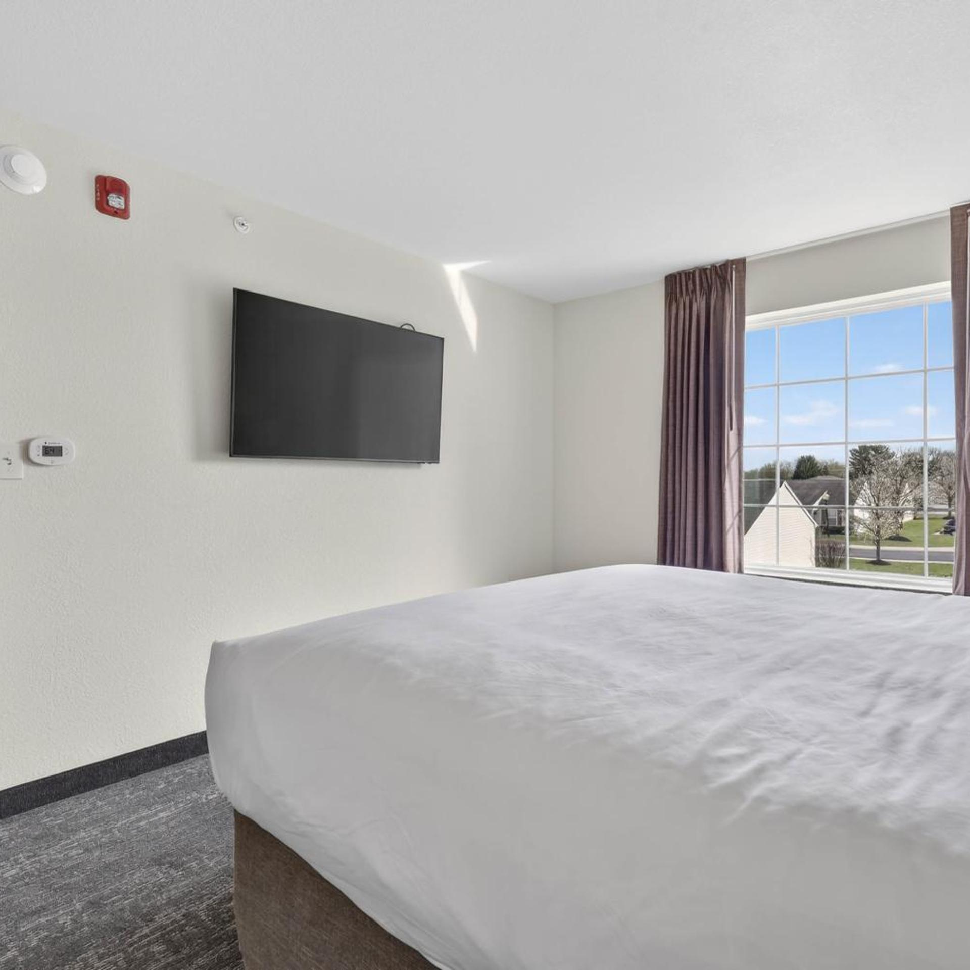 1 Bedroom, Suite