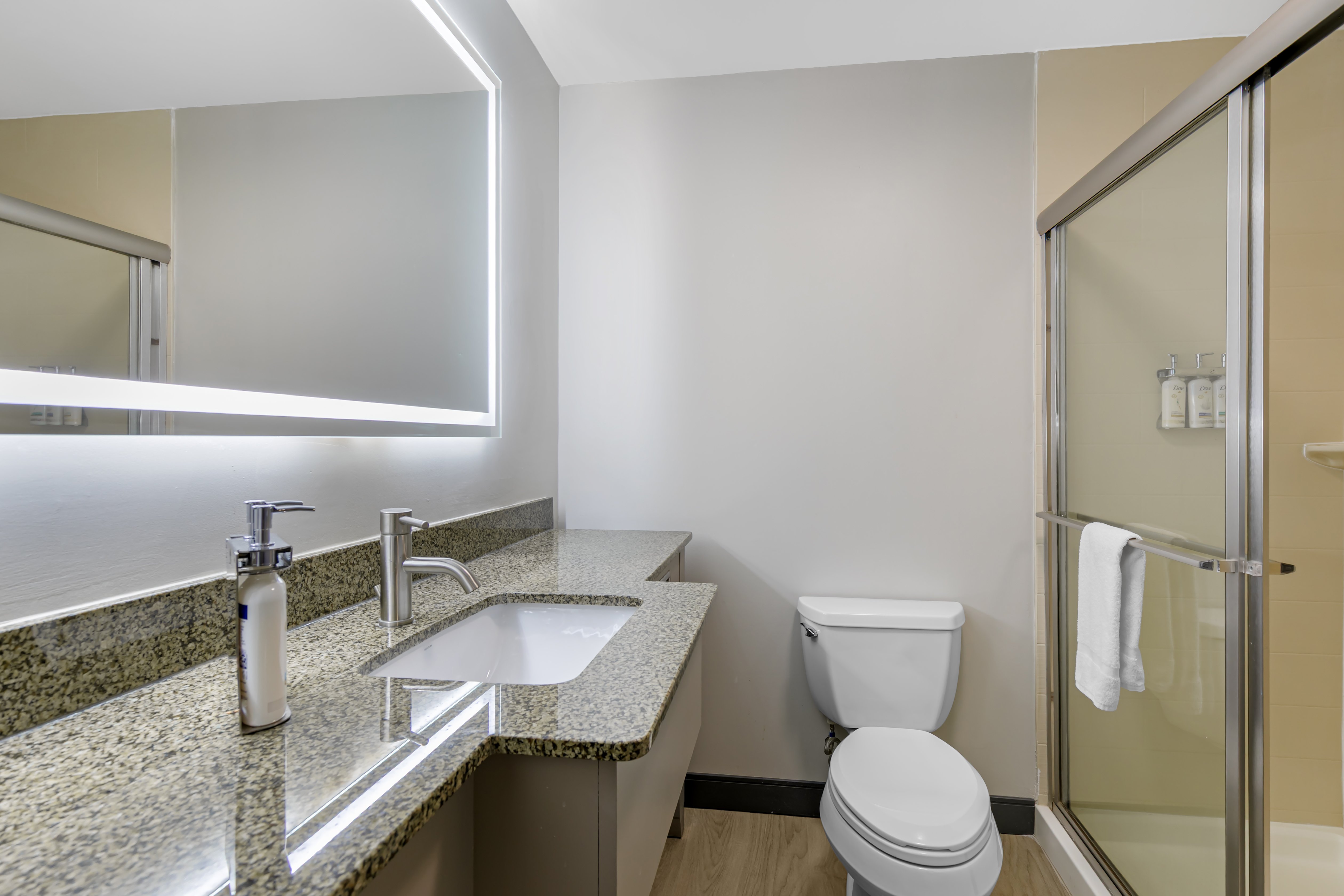 Holiday Inn Express & Suites Clemson - Univ Area 81/82