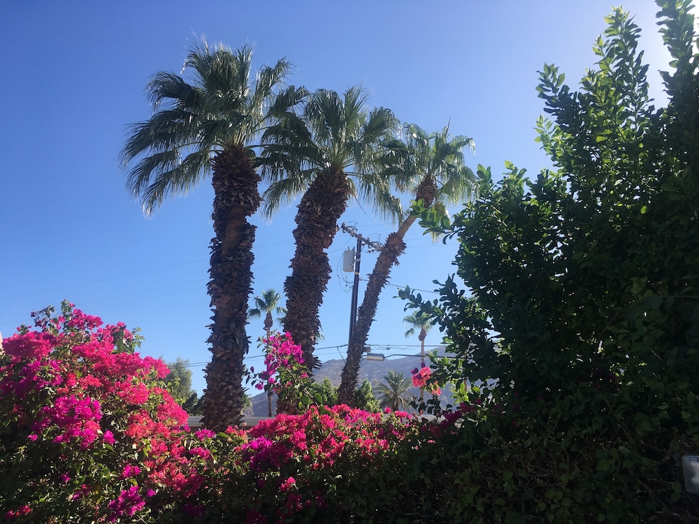Inn at Palm Springs 65/69