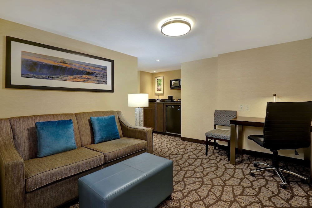Embassy Suites By Hilton Niagara Falls Fallsview 43/52