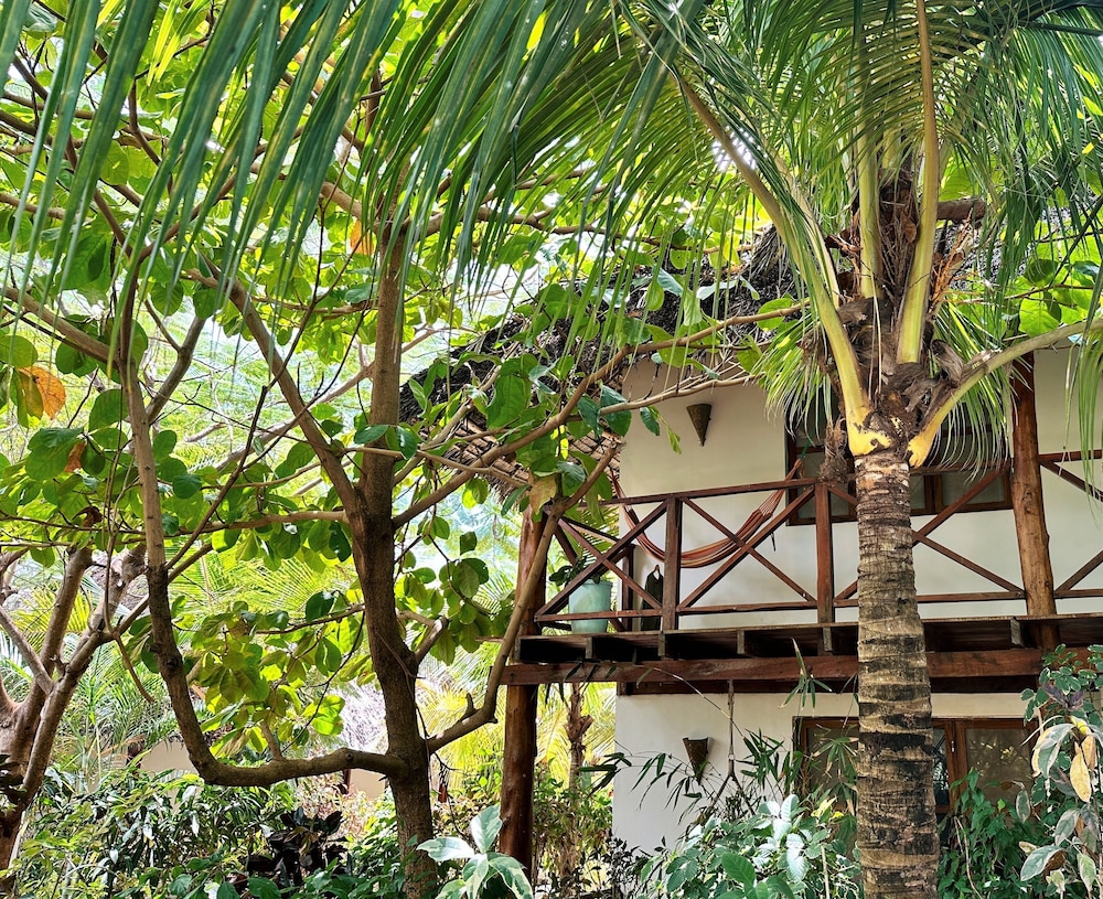 Aluna Beach Lodge 32/50